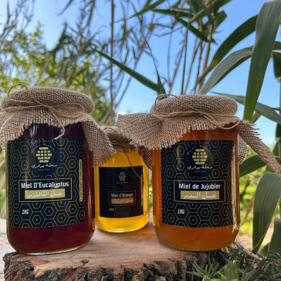 Miel Eucalyptus de Sicile – Le miel des rois
