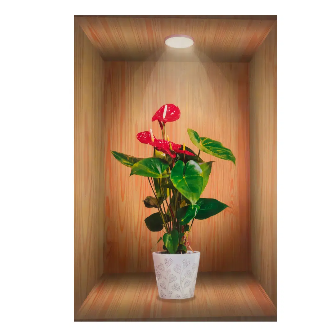 Pack Autocollant cadre 3d ( 03 pièces)