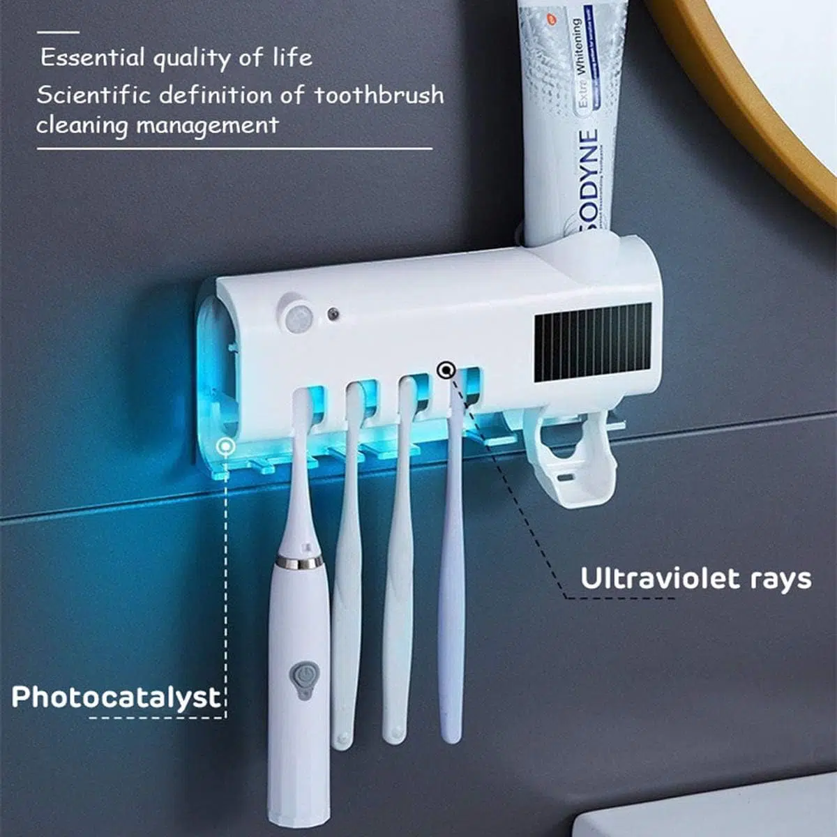 Support Brosse à dents UV