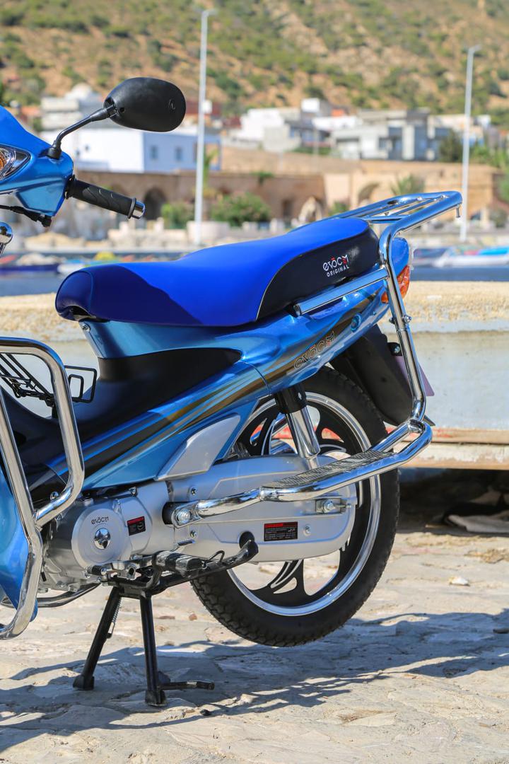 Moto Evoc Max Bleu